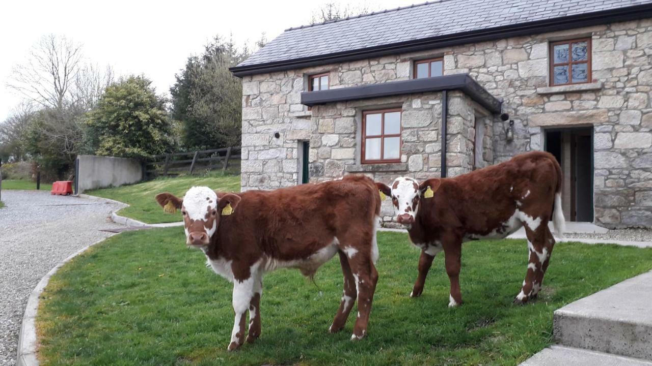 Green Adventure Ecohostel Clonmore Esterno foto